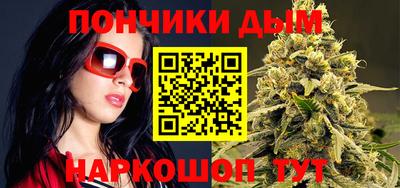 шишки Кимры